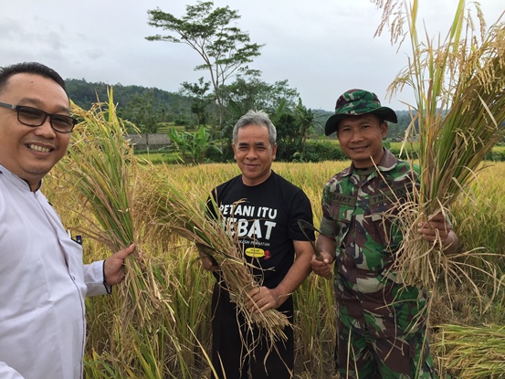 bbpplembang panen purwakarta dua