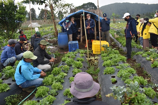 bbpplembang panenbrokoli keltanjagatmandiri1