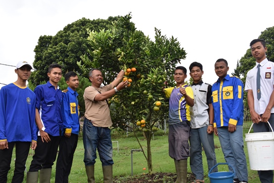 bbpplembang panenjeruk1