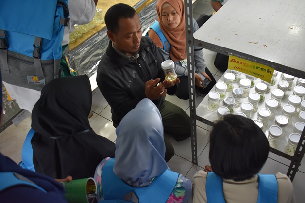 bbpplembang pelatihanSTPP1