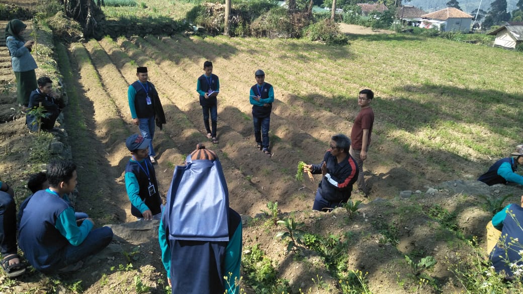 bbpplembang pelatihan P4SIttifaq2