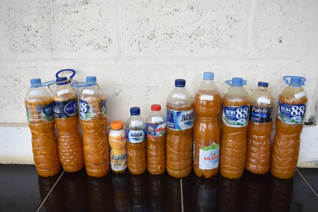 bbpplembang pelatihan P4SSemaiOrganik