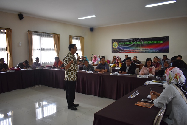 bbpplembang pelatihan hidroponik