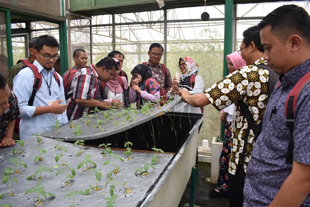 bbpplembang pelatihan hidroponik2