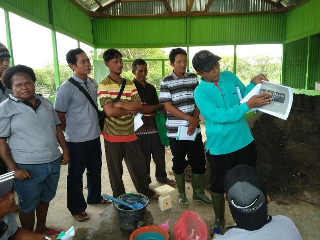 bbpplembang pelatihan tematikcabai-sorong4