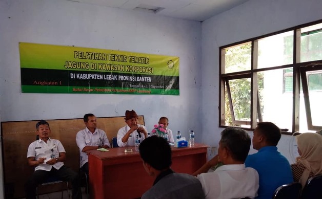 bbpplembang pelatihanjagung lebak1