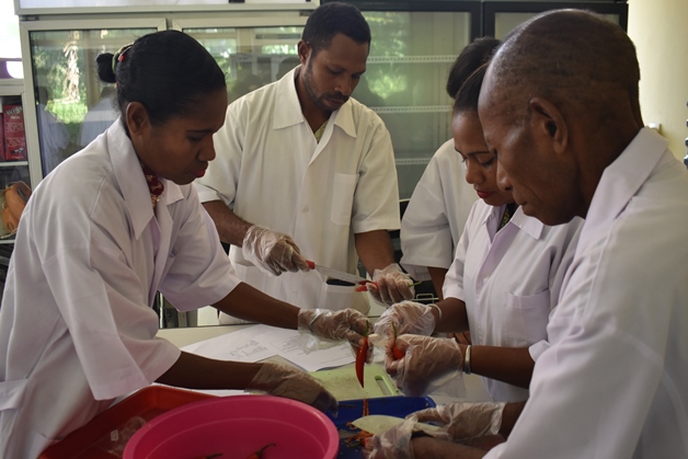 bbpplembang pelatihanpengolahan papuabarat2