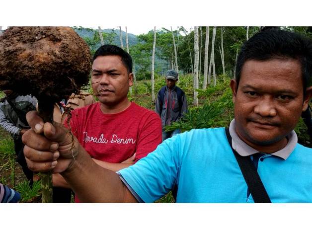 bbpplembang pelatihanporang2