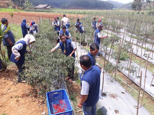 bbpplembang pelatihantematik P4SKarangsariCiamis2