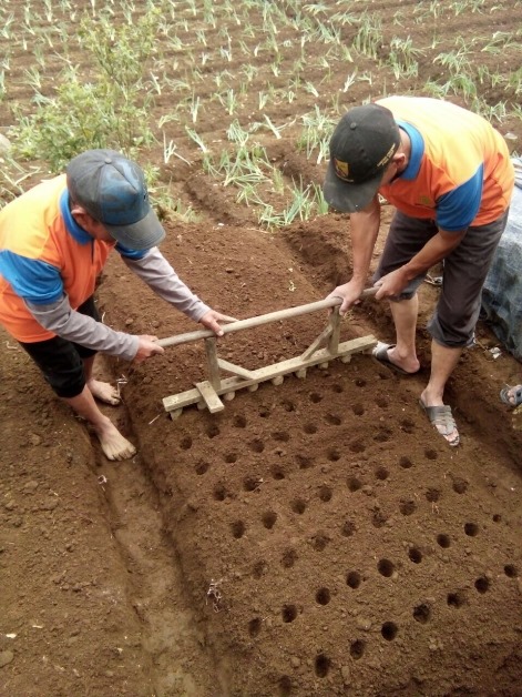 bbpplembang pelatihantematik bawangputih1