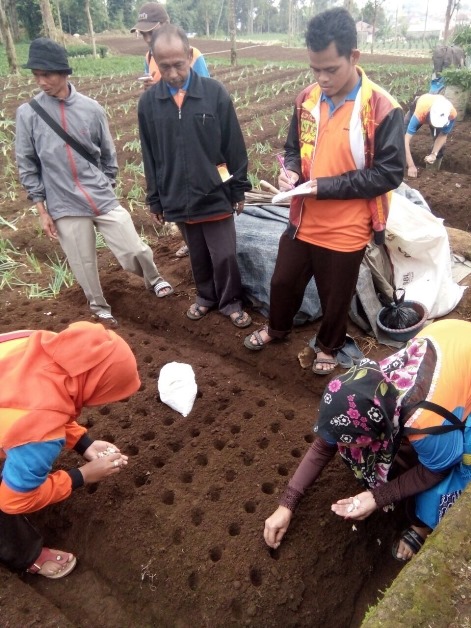 bbpplembang pelatihantematik bawangputih2