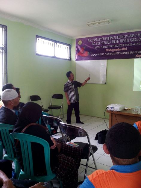 bbpplembang pelatihantematik cabai arjasari3