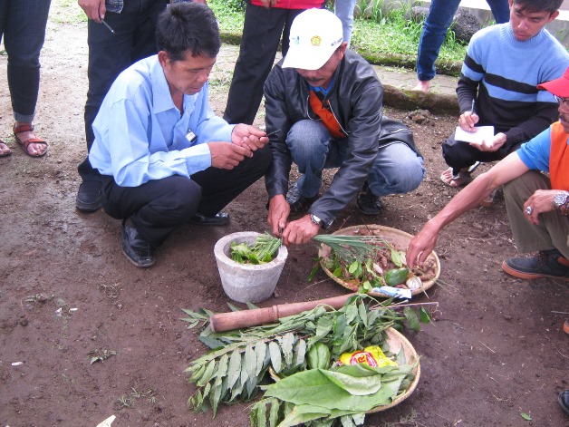bbpplembang pelatihantematik cabai cisarua