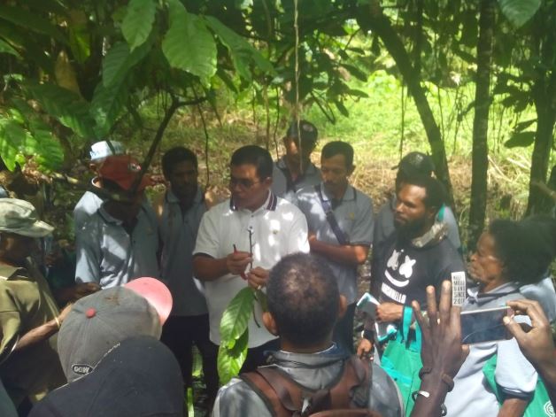 bbpplembang pelatihantematik kakao sorong