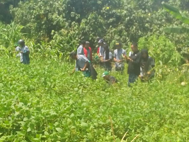 bbpplembang pelatihantematik kedelaiKBB1