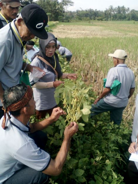 bbpplembang pelatihantematik kedelaibanjar2