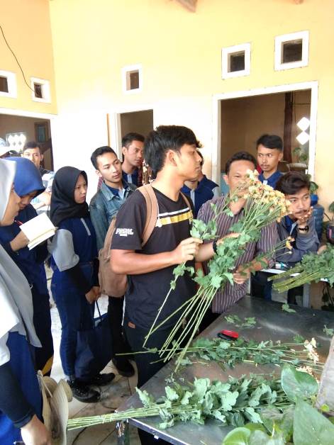 bbpplembang pelatihanvokasi tanamanhias2