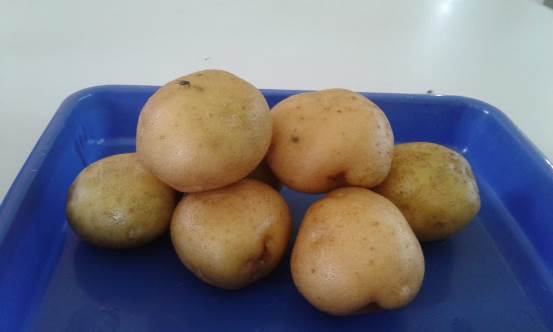 bbpplembang pengolahan kentang1