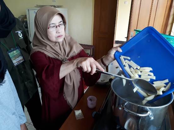 bbpplembang pengolahan kentang2