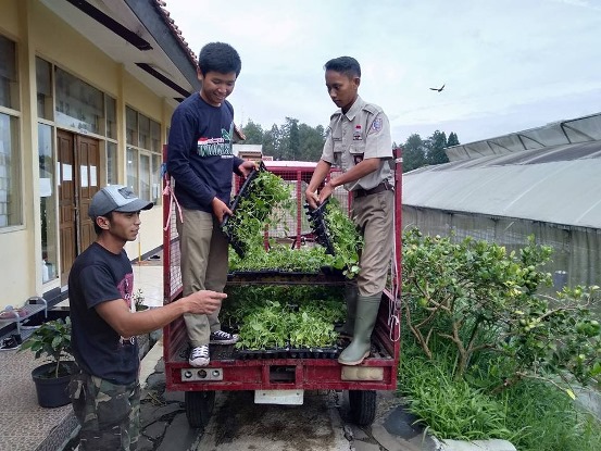bbpplembang perbanyakankentang1