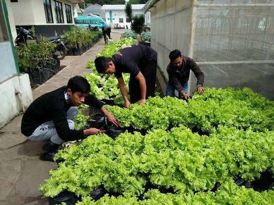 bbpplembang seminarhasil univhalbar4