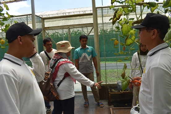 bbpplembang stubad mekarsari2