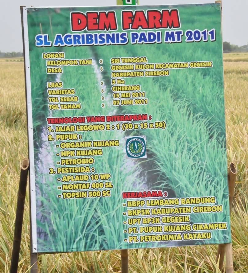bbpplembang_kunker_mentan_p2bn_cirebon_03