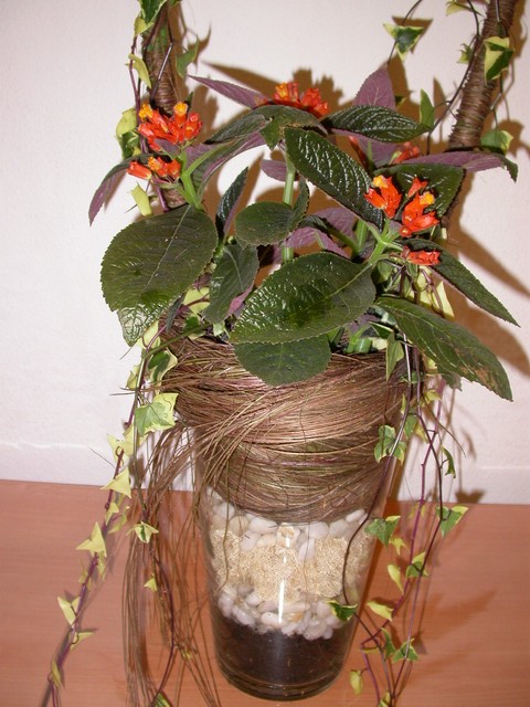 bbppl-hidroponik hias1.JPG