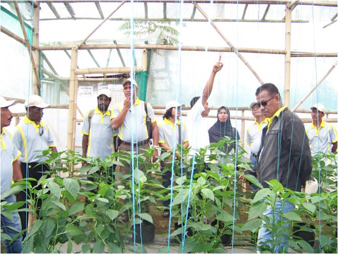 bbppl-Magang Timika-MTJ