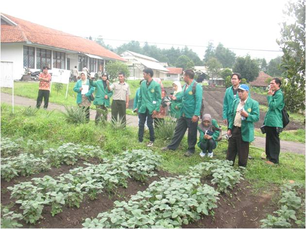 bbppl-Univ Muhamadiyah Bengkulu-kebun.jpg