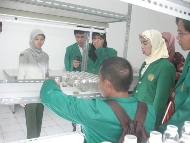 bbppl-Univ Muhamadiyah Bengkulu-kuljar.jpg