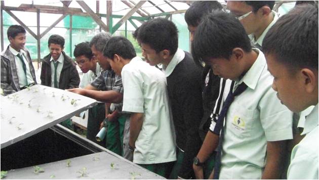 bbppl-al kahfi-kentang.jpg bbppl-al kahfi-kentang.jpg