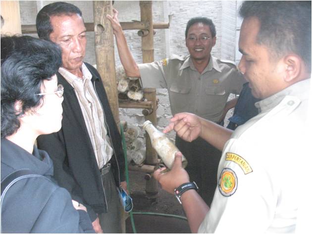 bbppl-bdp sumbar-jamur.jpg