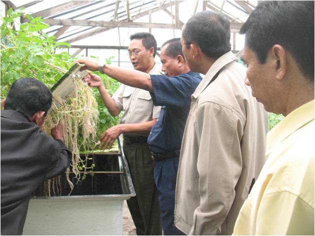 bbppl-bdp sumbar-kentang.jpg