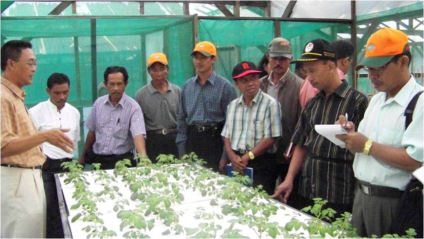 bbppl-stubad bulukumba-kentang.jpg bbppl-stubad bulukumba-kentang.jpg