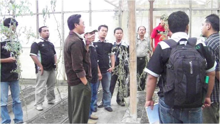 bbppl-univ pancabudi-hidroponik.jpg